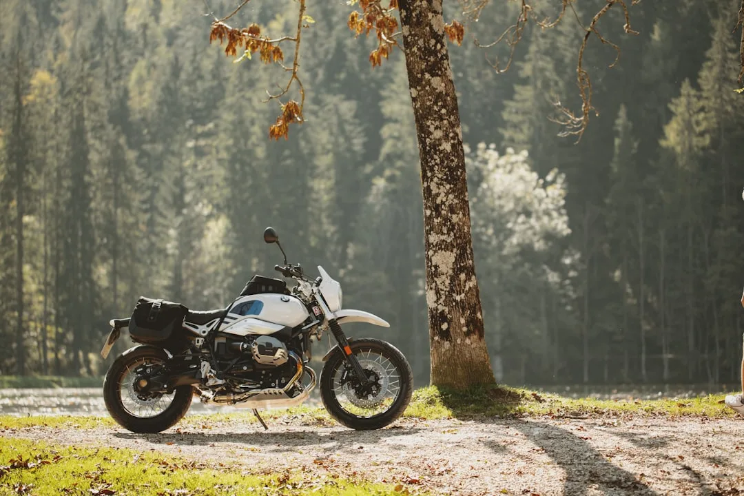 BMW R nineT