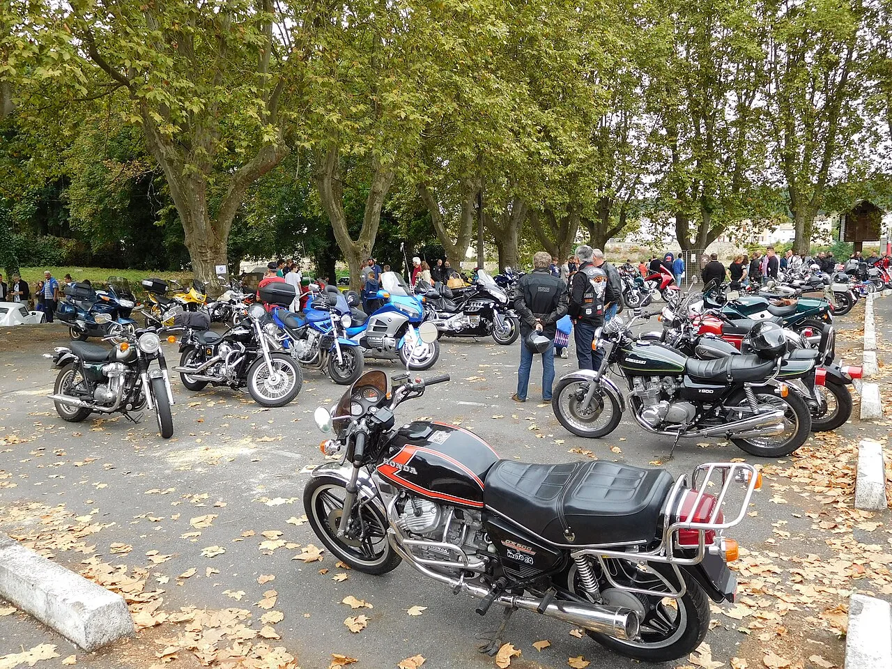 Honda CX500 CX500EC Sports (1982)