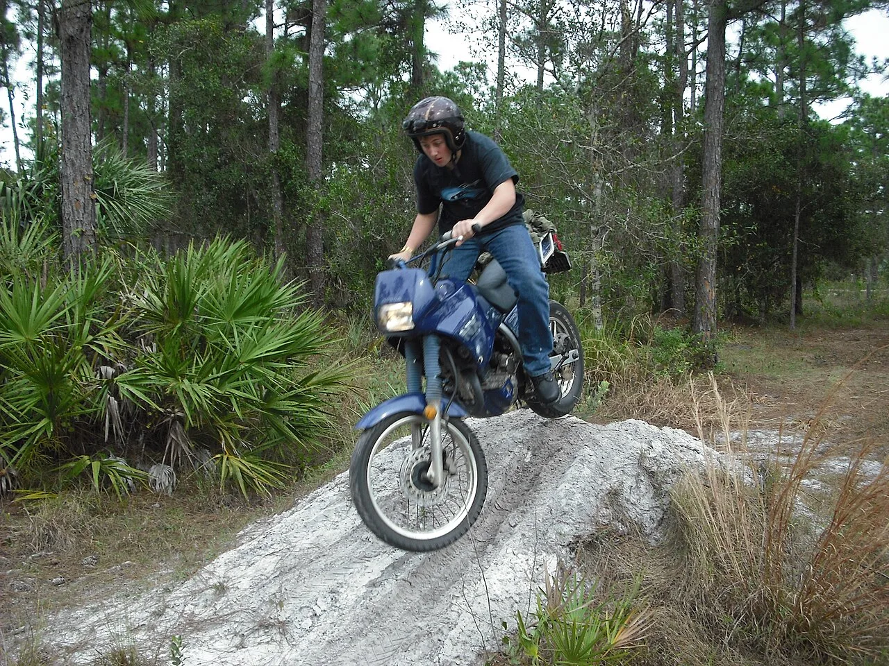 Honda NX250 Honda AX-1 (1987-1994)