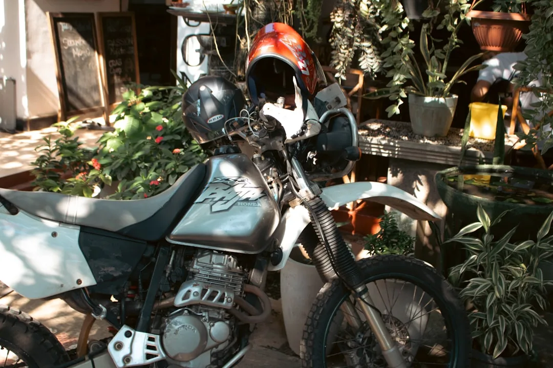 Honda XR250 (1986–1995)