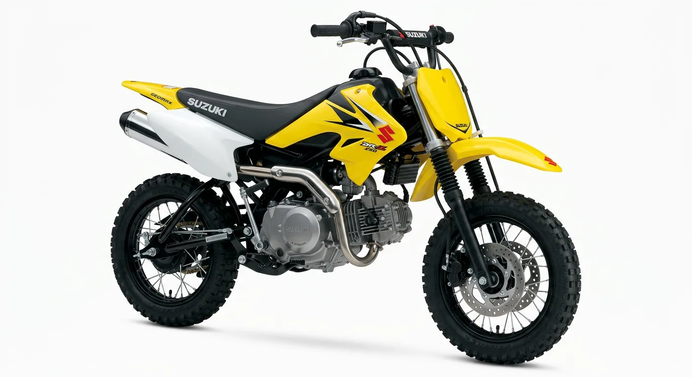 Suzuki DR-50 (2008–2015)