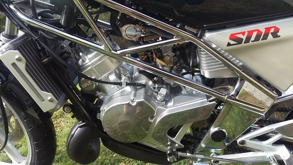 Yamaha SDR 200