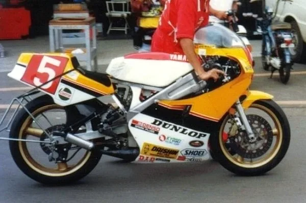 Yamaha TZ250 TZ250 YPVS (1981–1990)