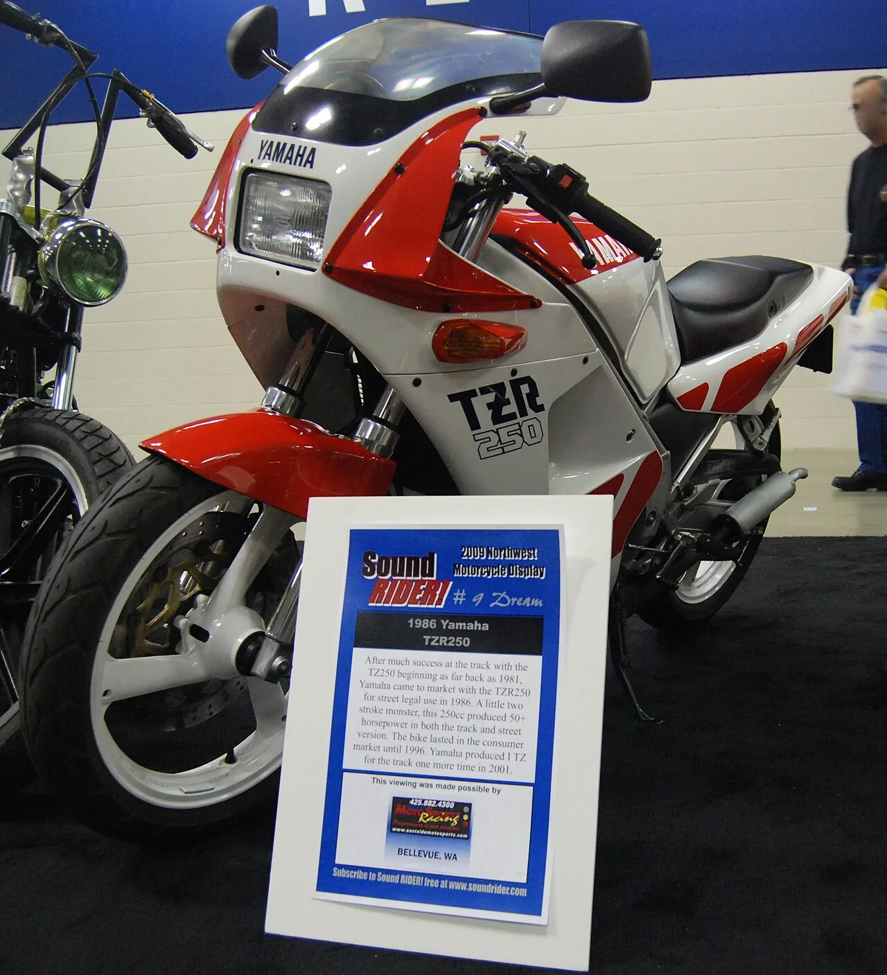 Yamaha TZR250