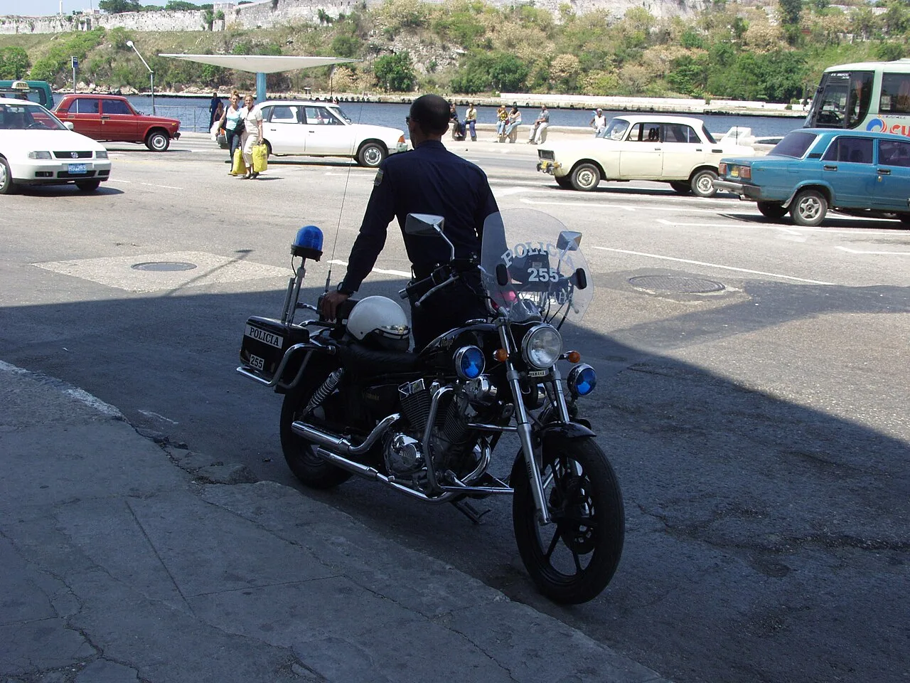 Yamaha XV250